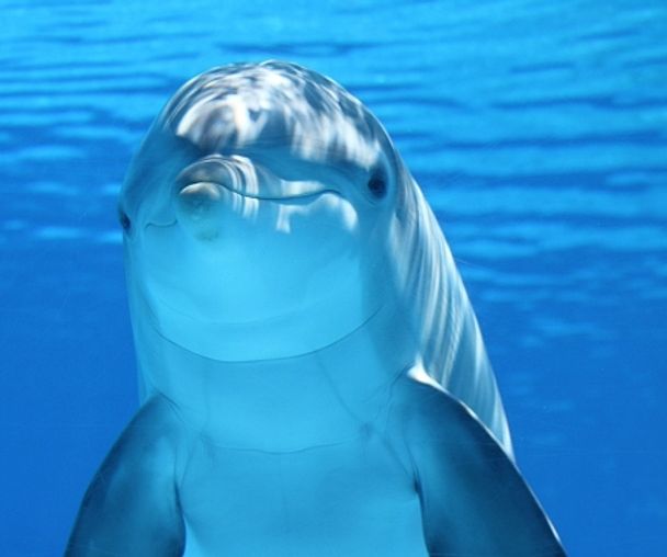 activity_detail_image