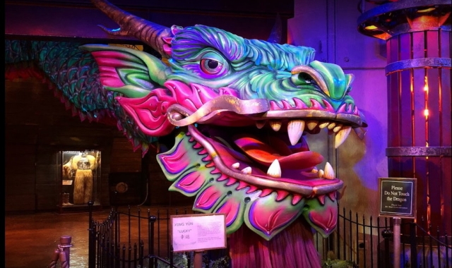 라스베가스 KA 카쇼 티켓