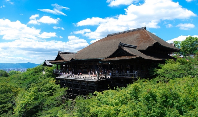 [인투어] 오사카/교토 출발: 교토 고급 밴 단독 차량 투어