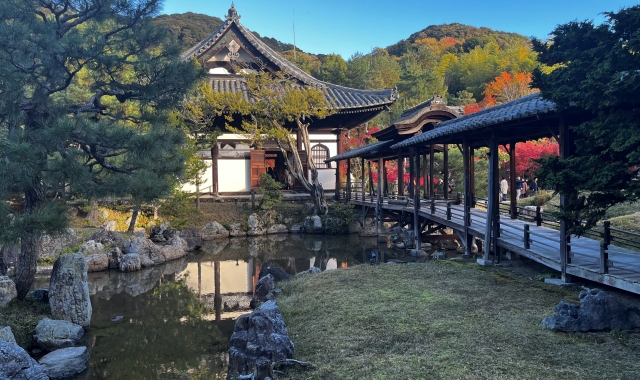 [인투어] 오사카/교토 출발: 교토 고급 밴 단독 차량 투어