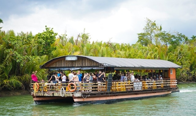 보홀 정통 데이투어 (로복강 / 초콜릿힐 / 타르시어 원숭이)