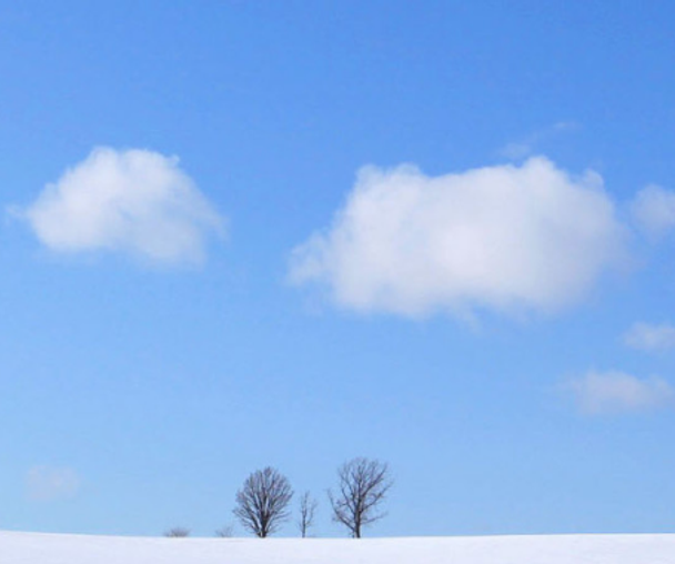 activity_detail_image