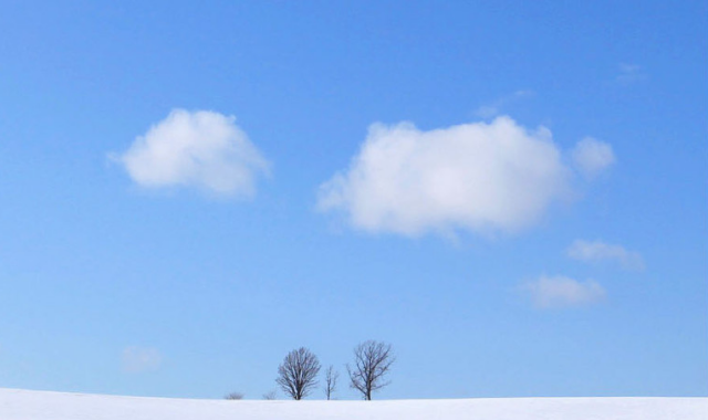 [흰그림자투어] 겨울 삿포로 비에이 후라노 오리지널 럭셔리 일일투어 (소규모 진행과 온천 체험)