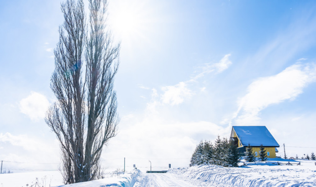 [흰그림자투어] 겨울 삿포로 비에이 후라노 오리지널 럭셔리 일일투어 (소규모 진행과 온천 체험)