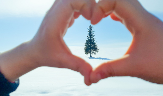 [흰그림자투어] 겨울 삿포로 비에이 후라노 오리지널 럭셔리 일일투어 (소규모 진행과 온천 체험)