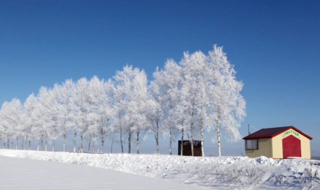 [흰그림자투어] 겨울 삿포로 비에이 후라노 오리지널 럭셔리 일일투어 (소규모 진행과 온천 체험)