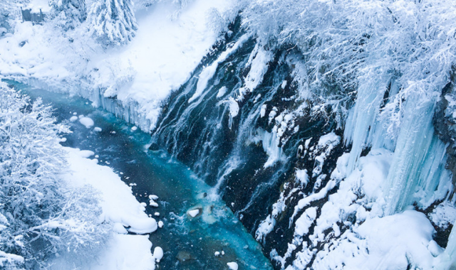 activity_detail_image