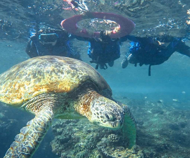 activity_detail_image