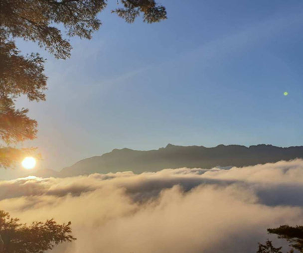 activity_detail_image