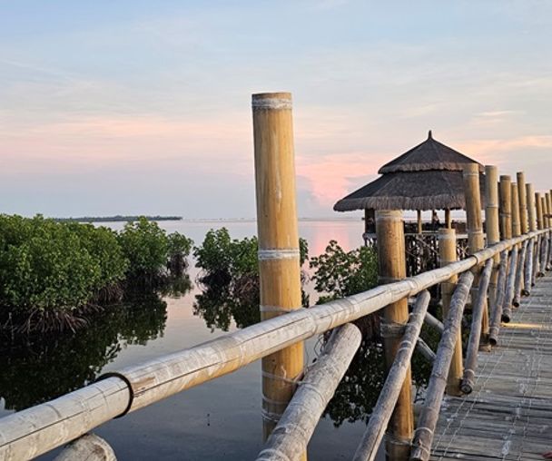 activity_detail_image