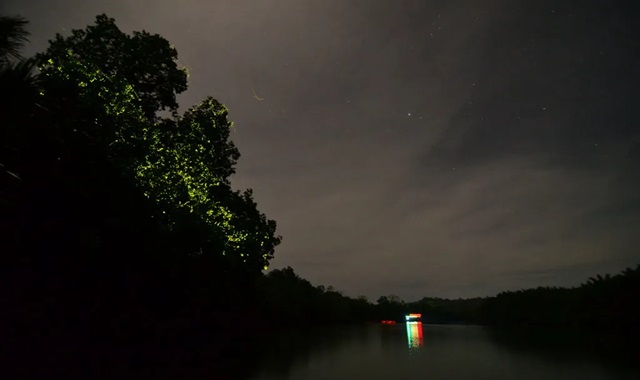 보홀 노스젠 선셋 브릿지 & 아바탄 반딧불 투어