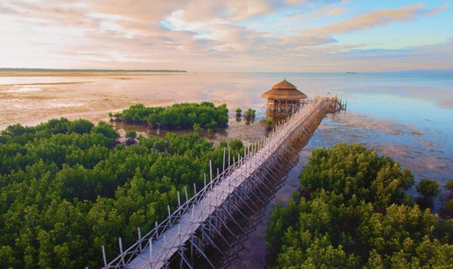 보홀 노스젠 선셋 브릿지 & 아바탄 반딧불 투어