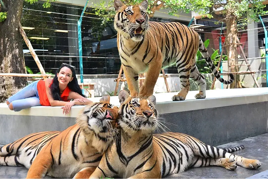 activity_detail_image