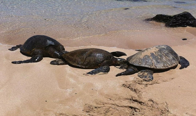 activity_detail_image