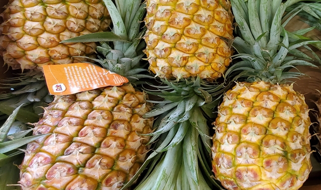 activity_detail_image