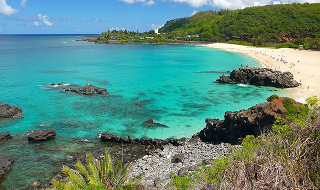 [맞춤 투어] 하와이 오아후 폴리네시안 민속촌 섬 일주 일일 투어 (한인 가이드 / 8시간)