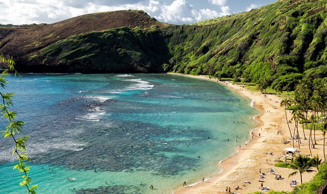 activity_detail_image