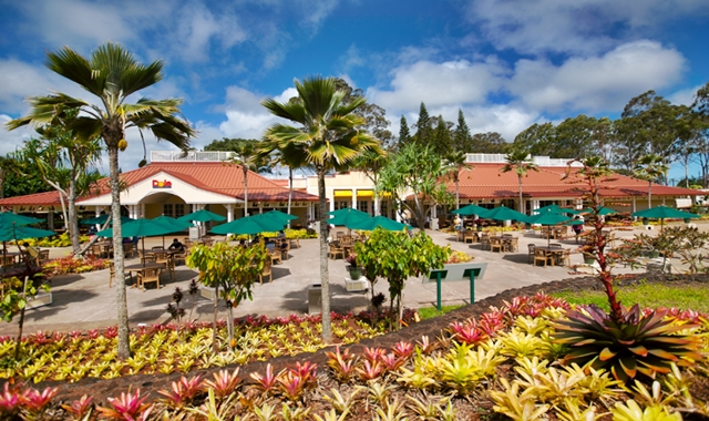 activity_detail_image