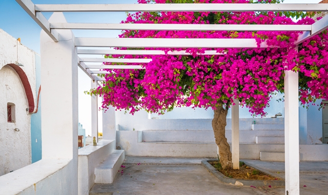 산토리니 '빛에 씻긴 섬' 비디오 가이드 투어