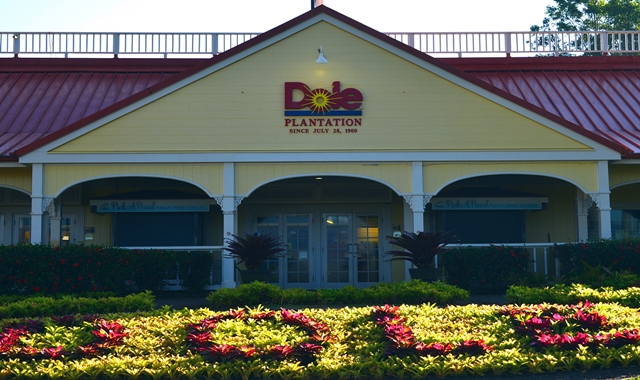 activity_detail_image