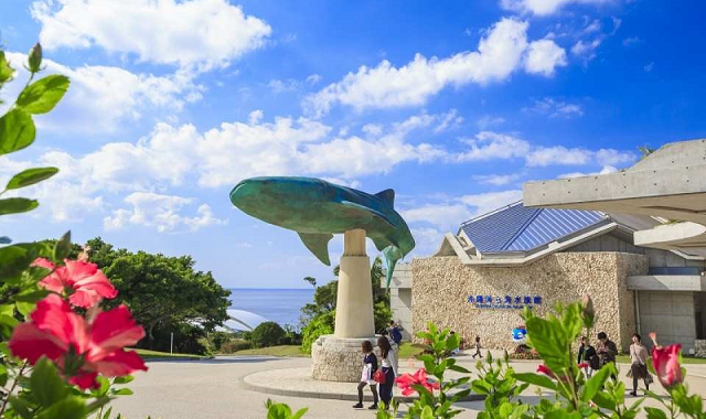 沖縄とくとく5パス - 美ら海水族館を含む