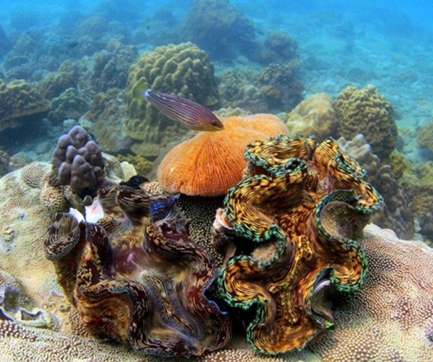 activity_detail_image