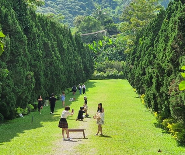 activity_detail_image