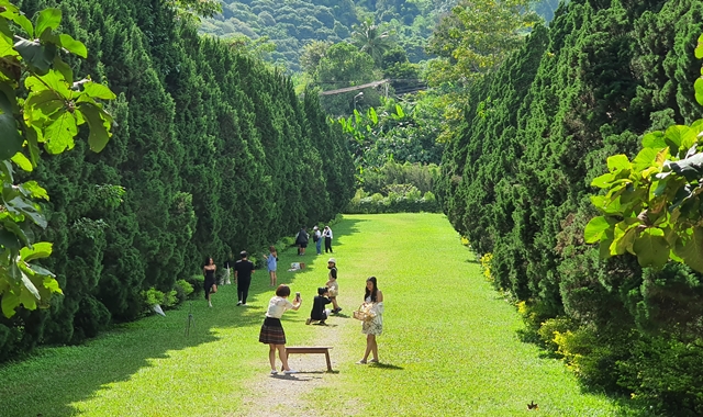 치앙마이 감성 여행 엘리핀팜 카페 & 반캉왓 & 싸이프레스 레인즈 투어