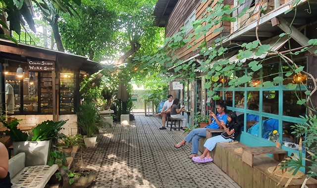 치앙마이 감성 여행 엘리핀팜 카페 & 반캉왓 & 싸이프레스 레인즈 투어