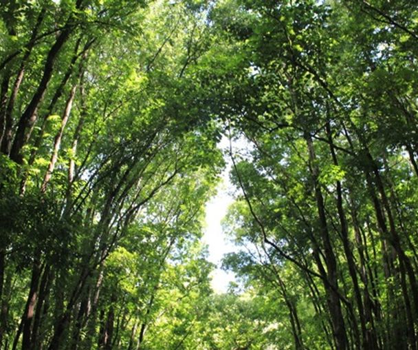 activity_detail_image