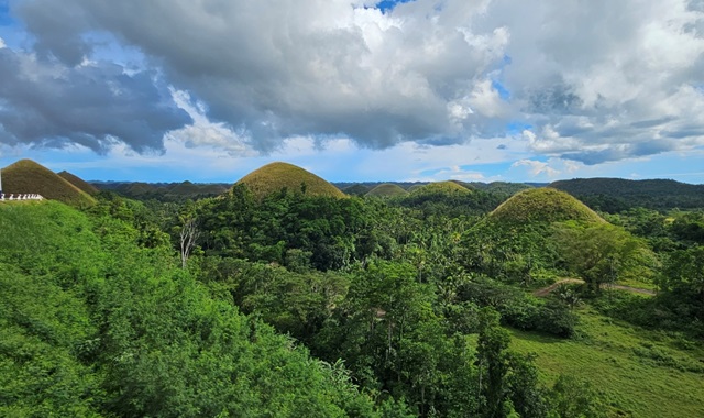 보홀 체크아웃 데이 투어 (로복강, 초콜릿힐, 안경원숭이 / 공항 샌딩)