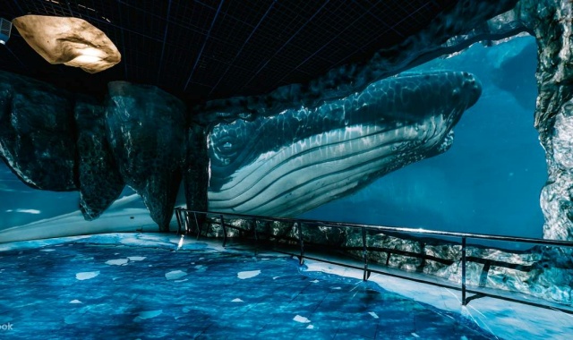 高雄発 墾丁 プライベートツアー (アクティビティ付き)