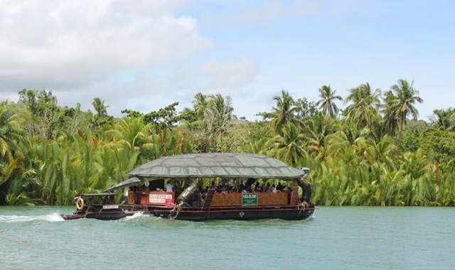 보홀 핵심 육상투어 (로복강, 초콜릿힐, 맨메이드숲)