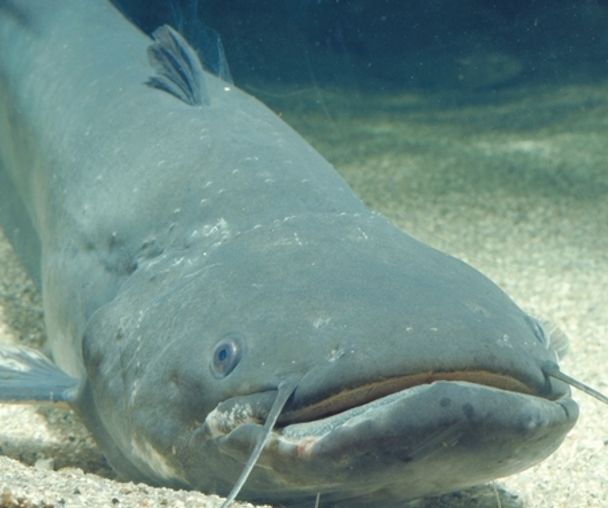 activity_detail_image