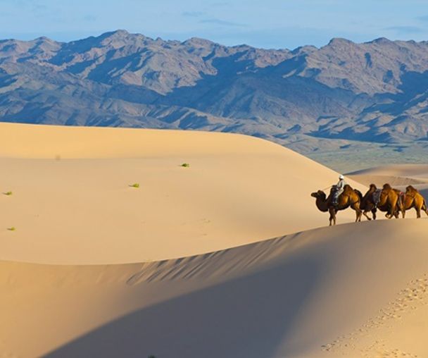 activity_detail_image