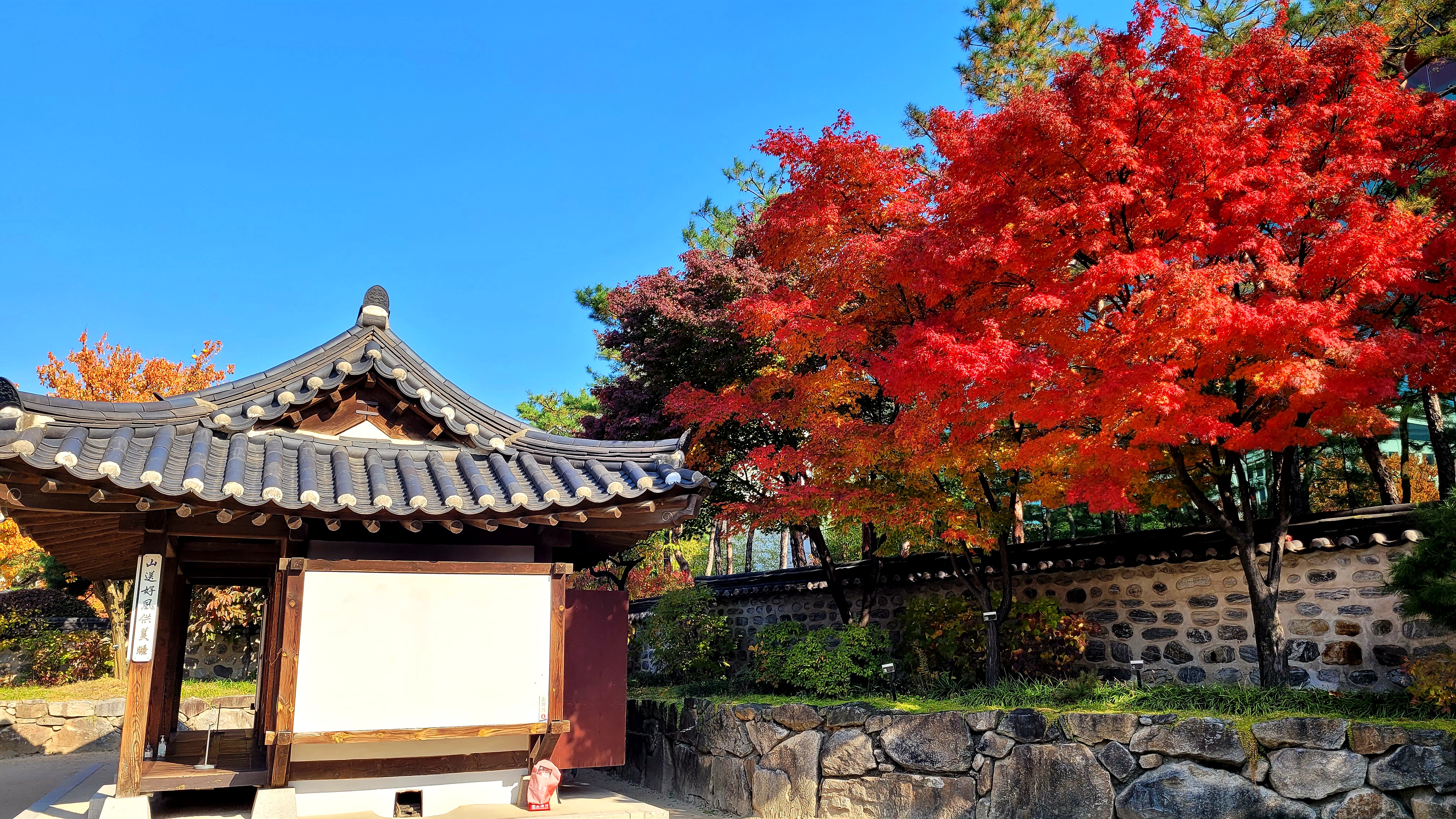 서울 종로 광장시장 & 한옥마을 & N서울타워 오후 반일 투어