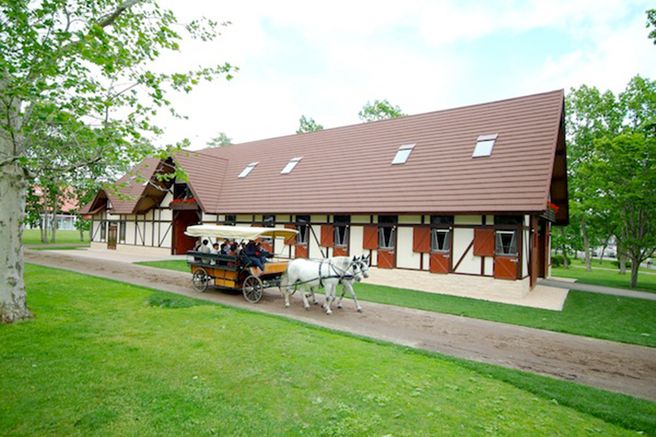 홋카이도 노던 호스파크 입장권