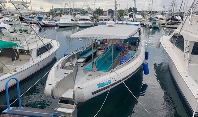하와이 빅아일랜드 코나 선셋 만타레이 스노클링 투어