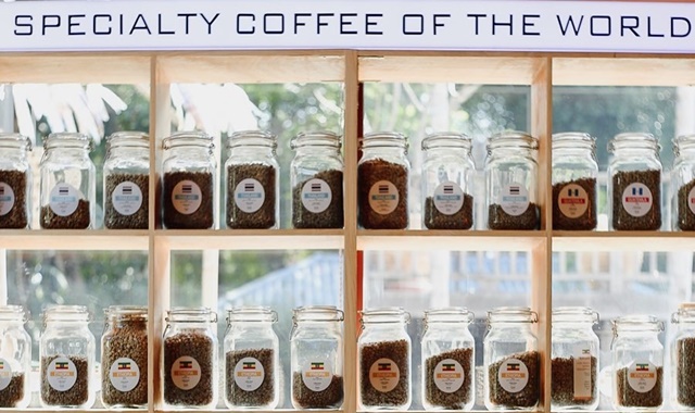 치앙마이 도이사켓 커피 투어