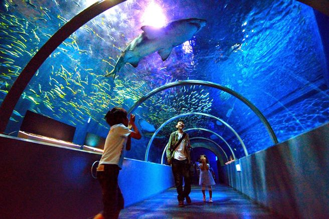 Hokkaido Noboribetsu Marine Park Nix Ticket