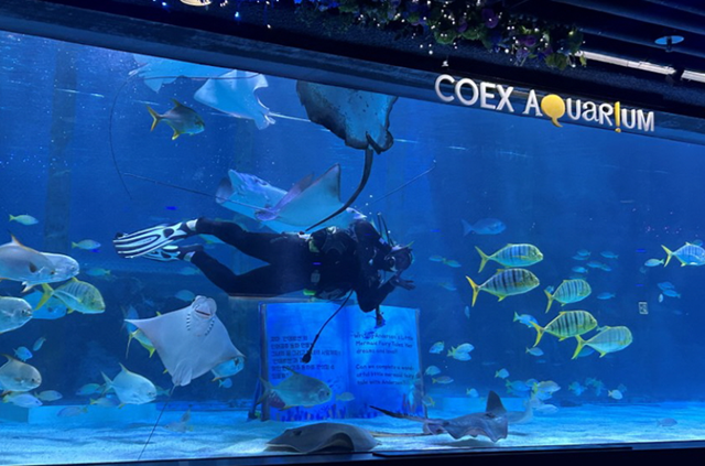 ソウル COEX(コエックス)アクアリウム 入場チケット