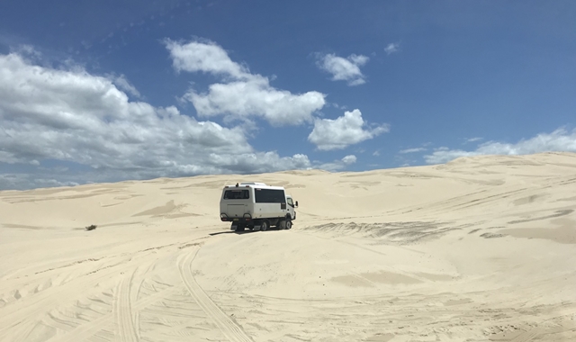 [놀러와시드니] 포트스테판 오픈런! 오크베일 동물원 / 돌고래 / 사막 썰매 / 와이너리 투어