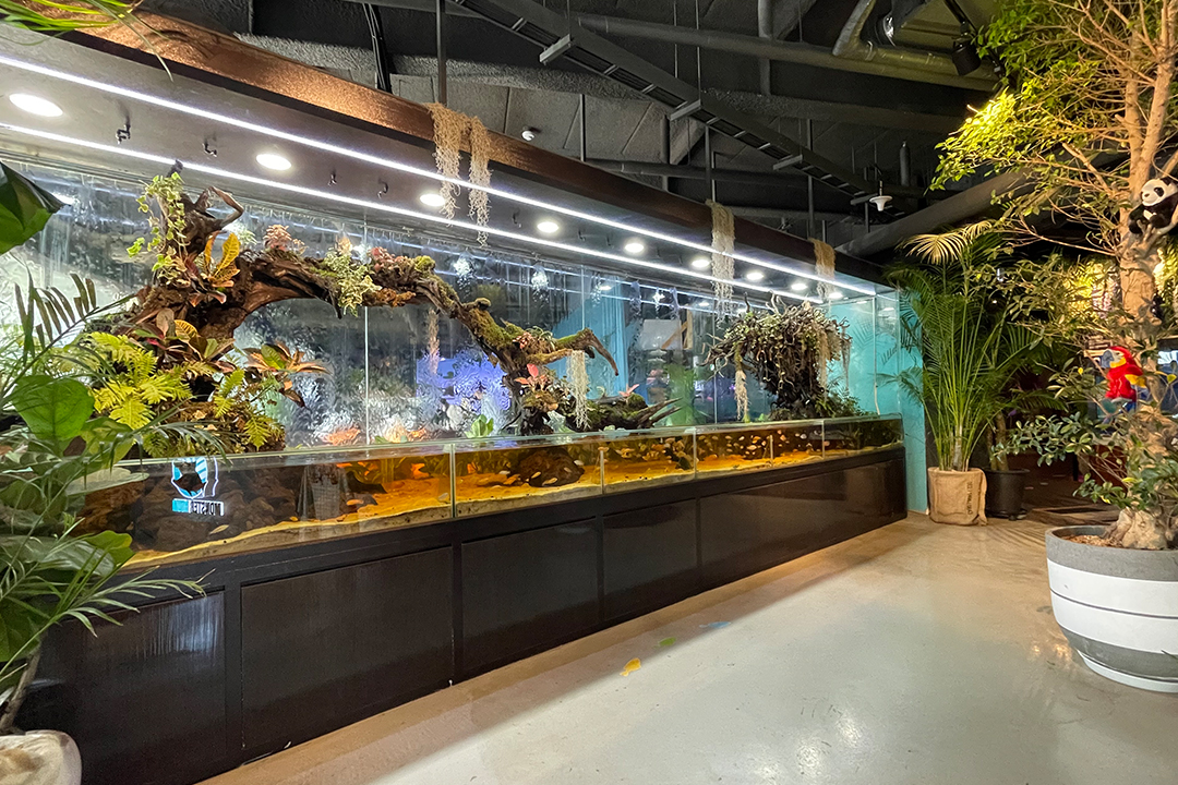 activity_detail_image