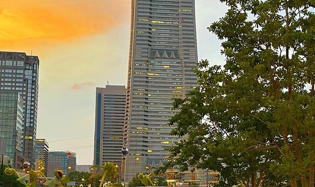 요코하마 랜드마크 타워 스카이 가든 전망대 입장권