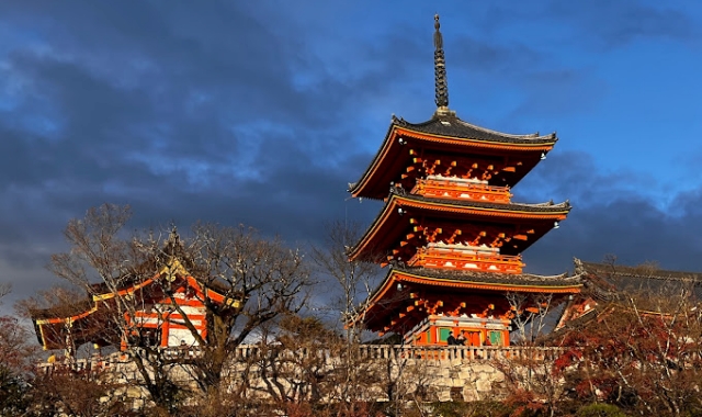 [테라투어] 오사카 출발: 교토 & 나라 소소버스투어