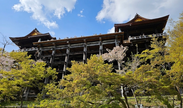 [테라투어] 오사카 출발: 교토 & 나라 소소버스투어