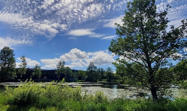 노르웨이 숲 트롤 여행, 겨울왕국 불멍 투어