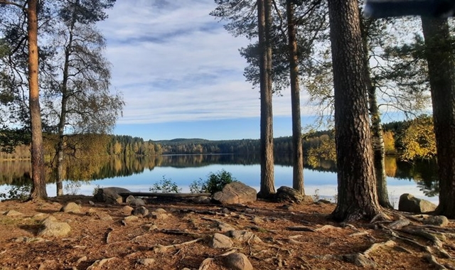 노르웨이 숲 트롤 여행, 겨울왕국 불멍 투어