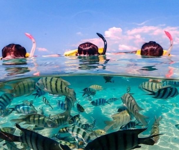 activity_detail_image