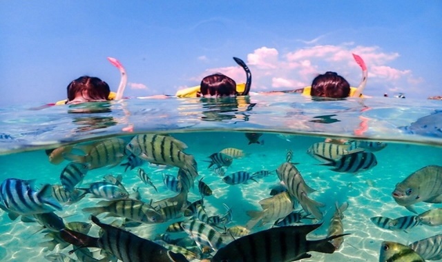 파타야 해피 니모섬 스노클링 투어 (드론 & 수중 촬영)